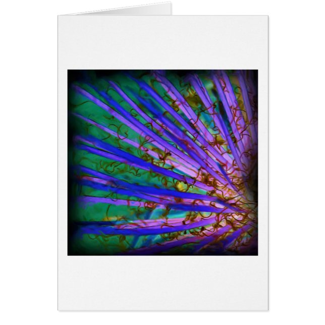 Psychedelic Yucca Inverted (Front)