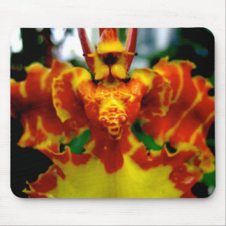 Psychopsis Orchid Mousepad