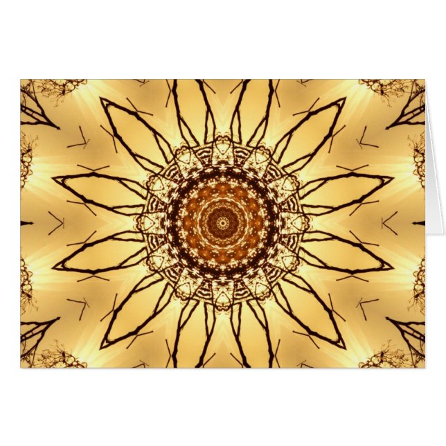psydaize (Front Horizontal)