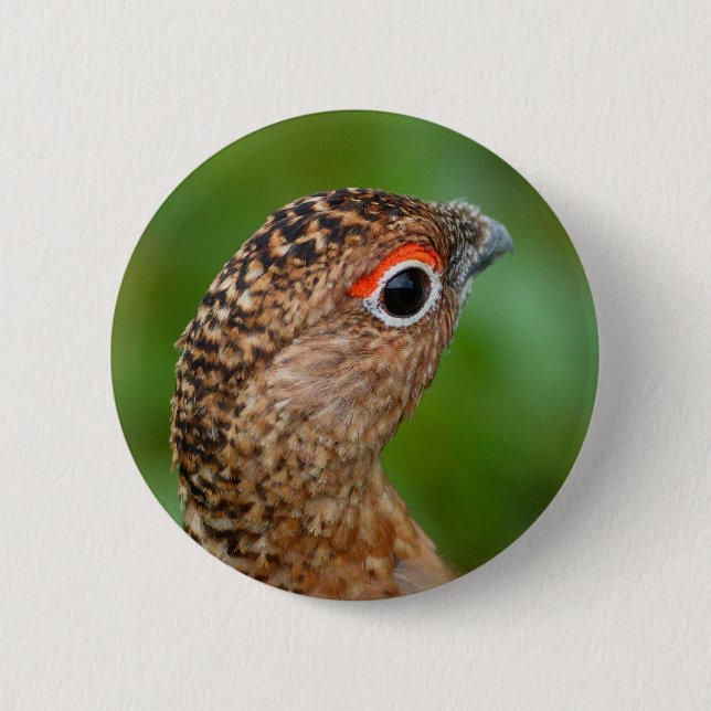 ptarmigan 6 cm round badge (Front)