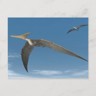 Pteranodon dinosaurs flying - 3D render Postcard
