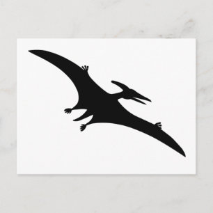 Pterodactyl Dinosaur Postcard