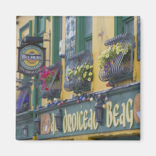Pub, Dingle, Dingle Peninsula, County Kerry, Magnet