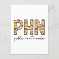 Public Health Nurse Sweatshirt PHN RN Shirt Cute N