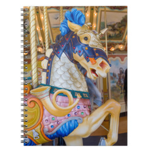 Public Museum of Grand Rapids Notebook