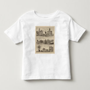 Public School, Court House, Minnesota Toddler T-Shirt
