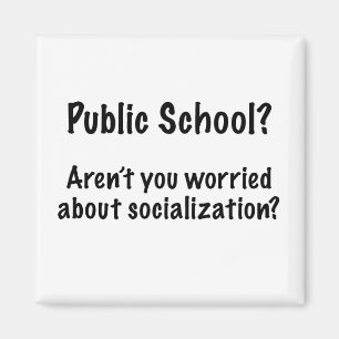 Public School?  Magnet