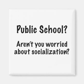 Public School?  Magnet