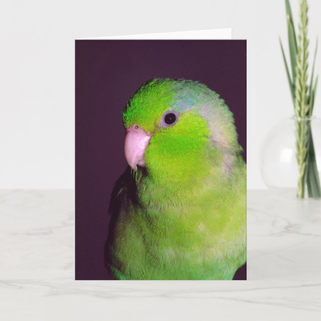 Puck Note Card (Front)