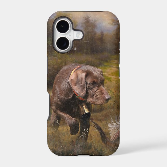 Pudelpointers, Hunting pheasant   (Back)
