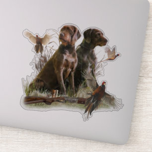Pudelpointers, Hunting pheasant