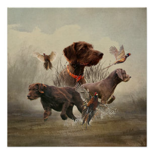 Pudelpointers, Hunting pheasant Poster