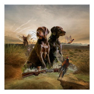 Pudelpointers, Hunting pheasant Poster