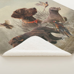 Pudelpointers, Hunting pheasant    Sherpa Blanket