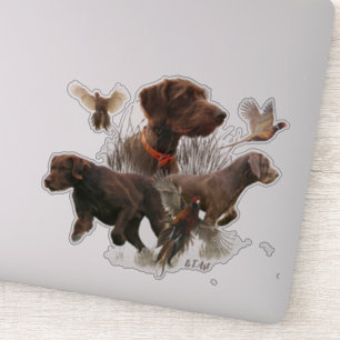 Pudelpointers, Hunting pheasant Sticker