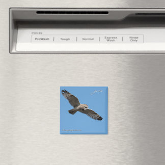 Pueo Hawaiian Owl Magnet