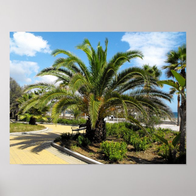 Puerto Banus gardens Poster (Front)