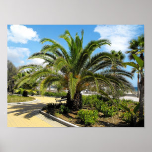 Puerto Banus gardens Poster