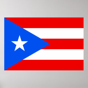 Puerto Rican Flag (Puerto Rico) Poster