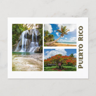 Puerto Rican nature Postcard