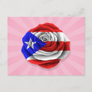 Puerto Rican Rose Flag on Pink Postcard