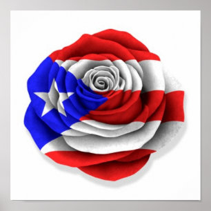 Puerto Rican Rose Flag on White Poster