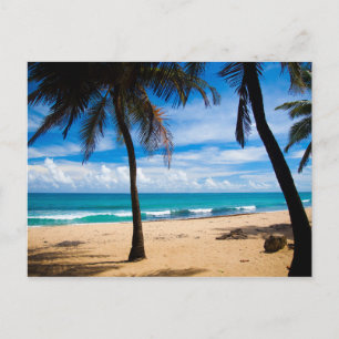 Puerto Rico - Condado Beach Postcard