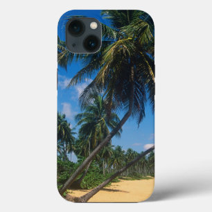 Puerto Rico, Isla Verde, palm trees iPhone Case