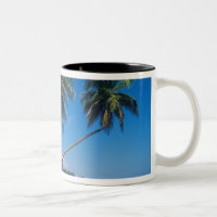 Puerto Rico, Isla Verde, palm trees.