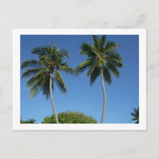 Puerto Rico Postcard