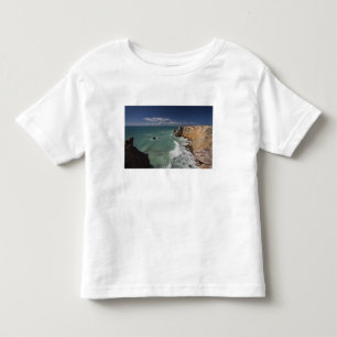 Puerto Rico, West Coast, Cabo Rojo, coastline 2 Toddler T-Shirt