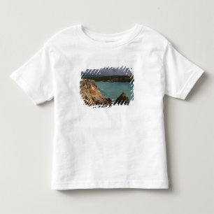 Puerto Rico, West Coast, Cabo Rojo, coastline 3 Toddler T-Shirt