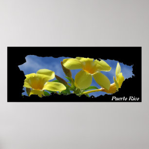 Puerto Rico Yellow Flowers Island Map Poster