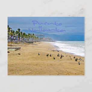 Puerto Vallarta 2 Postcard