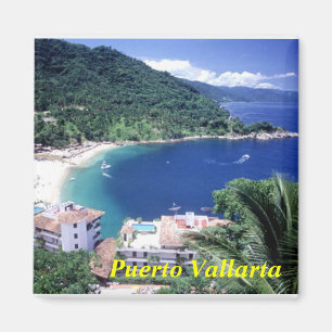 Puerto Vallarta magnet