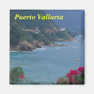 puerto vallarta magnet