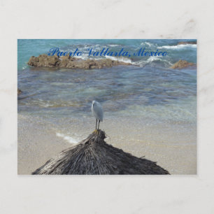 Puerto Vallarta, Mexico. Garza Blanca Postcard