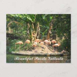 Puerto Vallarta Postcard