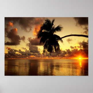 Puerto Vallarta Poster