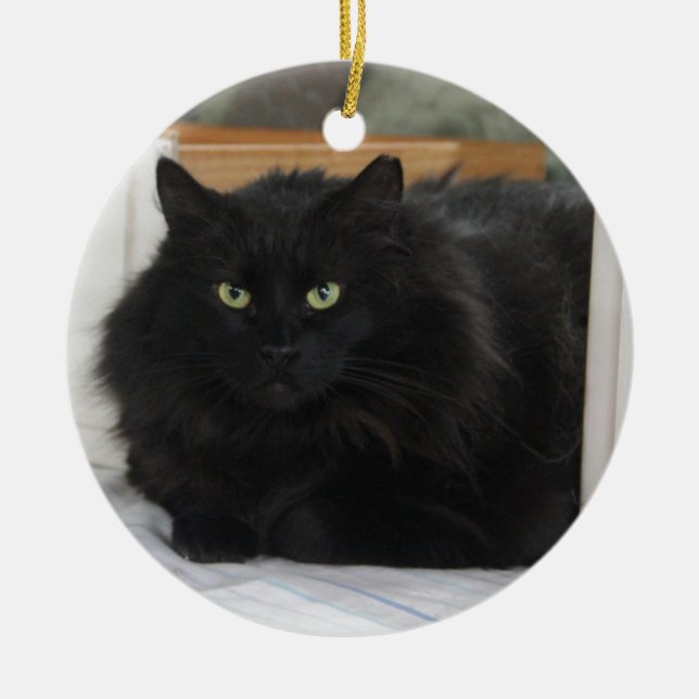 Puffball Ceramic Tree Decoration (Front)