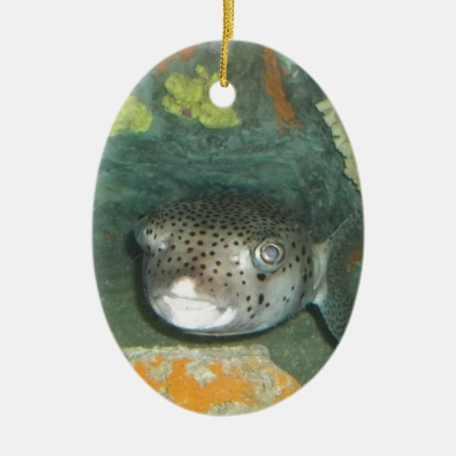 Puffer Fish Ceramic Ornament (Front)