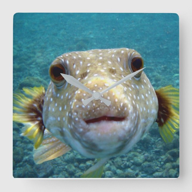 ***PUFFER FISH*** FUN CLOCK (Front)