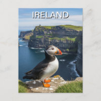 Puffin at Cliffs of Moher Ireland Travel