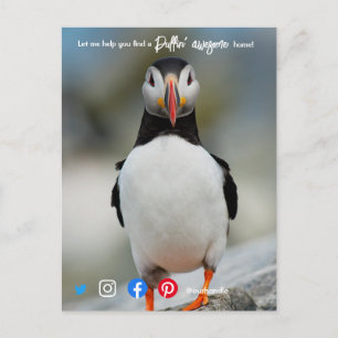 puffin awesome real estate agent marketing  postca postcard