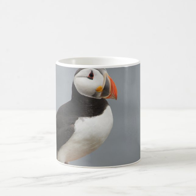 Puffin Bird Antarctic Nature Coffee Mug (Center)