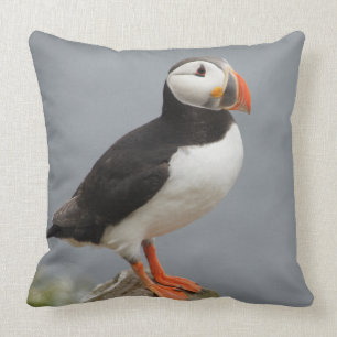 Puffin Bird Antarctic Nature Cushion