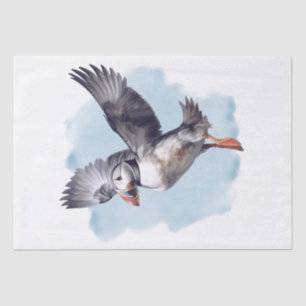 Puffin Bird Tissue Paper
