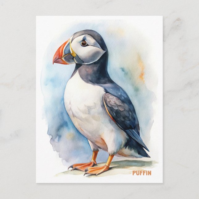 Puffin bird watercolor painting postcard (Front)
