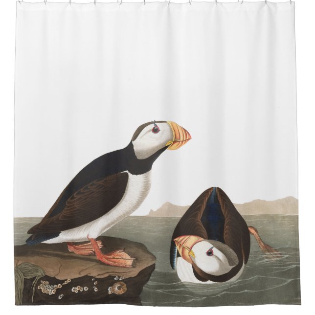 Puffin Birds Audubon Wildlife Shower Curtain (Front)