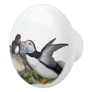 Puffin Birds Baby Wildlife Animals Family Knob